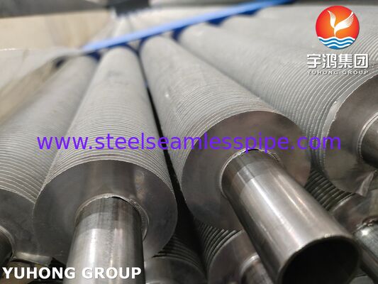 EN 10217-7 1.4301 এয়ার কুলারগুলির জন্য এক্সট্রুডেড ফিন টিউব তাপ পুনরুদ্ধার