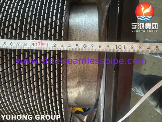 A335 P22 HRSG এবং তাপ পুনরুদ্ধার সিস্টেমের জন্য সিএস ফিনস সহ Serrated Fined টিউব