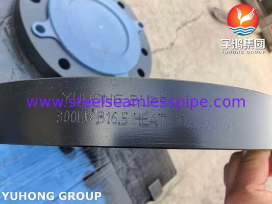 শিল্প পাইপলাইন সিস্টেমের জন্য ASME SA105 / SA105N কার্বন স্টিল ফোর্জড ফ্ল্যাঞ্জ