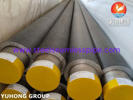 এএসটিএম এ৩৭৬ টিপি৩৪৭এইচ ফিন টিউব সিএস, উচ্চ তাপমাত্রা প্রতিরোধী কম্পোজিট ফিন টিউব (সিএস বেস + টিপি৩৪৭এইচ ফিন)