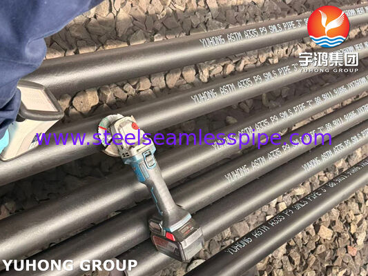 ASTM A335 ASME SA335 P9 বিজোড় খাদ ইস্পাত পাইপ পেট্রোকেমিক্যাল এবং পাওয়ার জেনারেশন সরবরাহকারীর জন্য উচ্চ টেম্প ক্রিপ প্রতিরোধী