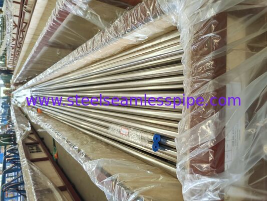 ASME SA213 TP304H সুপারহিটার এবং রিহিটারের জন্য সিউমলেস বয়লার টিউব
