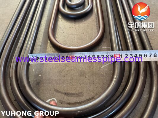 ASME SA213 T11 সিউমলেস অ্যালোয় টিউব 1.25Cr-0.5Mo বাইলার সুপারহিটার পাওয়ার প্ল্যান্টের জন্য ক্রোম মলি