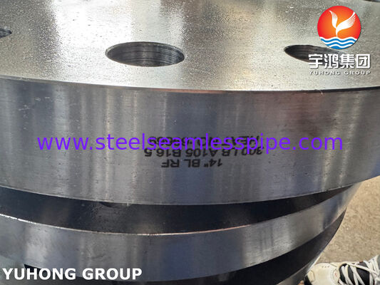 ASTM A182 F316L ব্লাইন্ড ফ্ল্যাঞ্জ 1.4404 স্টেইনলেস স্টিল ফ্ল্যাঞ্জ ফোর্জড ফ্ল্যাঞ্জ BLRF ফ্ল্যাঞ্জ