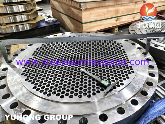 ASTM A182 F316L স্টেইনলেস স্টীল কাঠামোগত টিউব শীট তাপ এক্সচেঞ্জারগুলির জন্য সুনির্দিষ্ট মেশিনযুক্ত টিউব গর্ত সহ