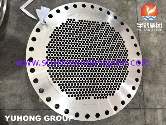 ASTM A182 F316L স্টেইনলেস স্টীল কাঠামোগত টিউব শীট তাপ এক্সচেঞ্জারগুলির জন্য সুনির্দিষ্ট মেশিনযুক্ত টিউব গর্ত সহ