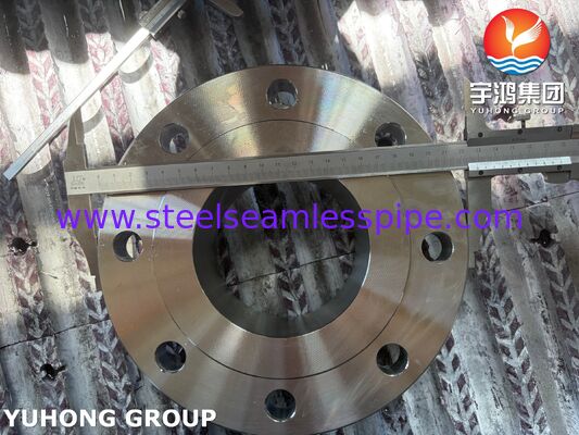 ASTM A182 F51 ফ্ল্যাঞ্জ UNS S31803 ডুপ্লেক্স স্টিল ওয়েল্ড নেক ফ্ল্যাঞ্জ ফোর্জড WNRF ফ্ল্যাঞ্জ