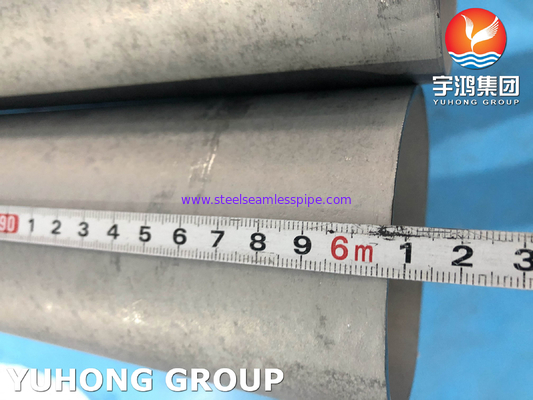 ASTM A789 UNS S32205 সমুদ্রের জল নিষ্কাশনের জন্য সিউমলেস ডুপ্লেক্স স্টেইনলেস স্টীল টিউব