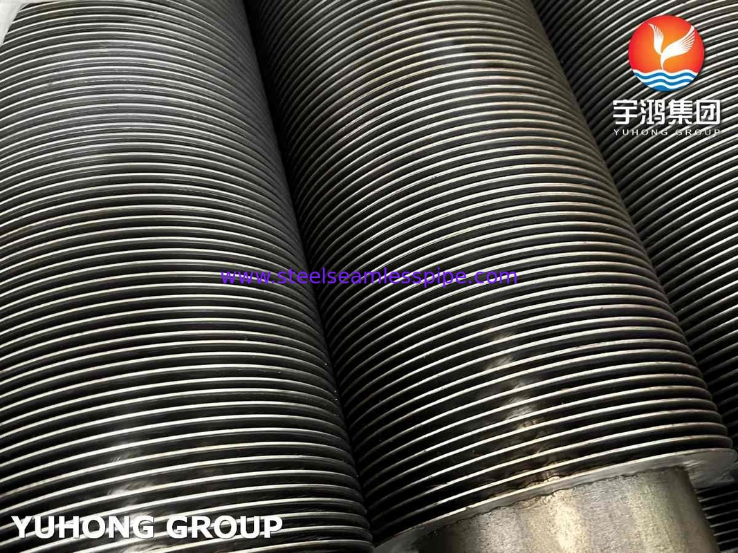 HFW ASTM A213 T9 11Cr কনভেকশন টিউব কয়েল অ্যাপ্লিকেশন সহ অ্যালোয় স্টীল সিউমলেস টিউব