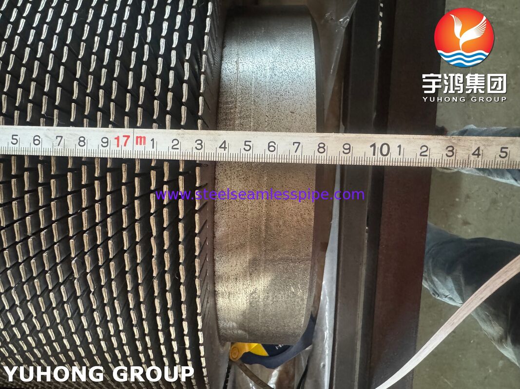 A335 P22 HRSG এবং তাপ পুনরুদ্ধার সিস্টেমের জন্য সিএস ফিনস সহ Serrated Fined টিউব