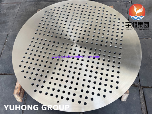 ASTM A182 F316L স্টেইনলেস স্টীল টিউবশীট হিট এক্সচেঞ্জার অংশ