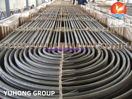 ASTM A213 TP304 স্টেইনলেস স্টীল U Bend Tube for Heat Exchangers