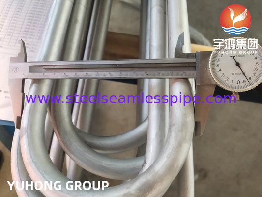 ASME SA213 স্টেইনলেস স্টীল Seamless TP304L Bend U Boiler Tube