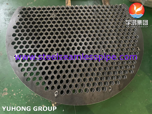 ASME SA283 Gr.C তাপ এক্সচেঞ্জার অ্যাপ্লিকেশন জন্য একক সেগমেন্টাল Baffle