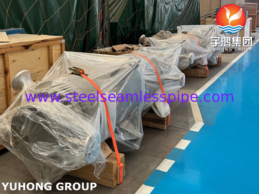 ASME VIII-1 ইউ-টিউব তাপ এক্সচেঞ্জার ক্লোর-আলকালি প্রসেস জন্য UNS N06600 প্লাস্টিক NACE MR0175