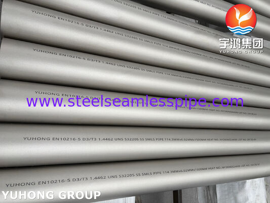 EN10216-5 1.4462 UNS S32205 ডুপ্লেক্স স্টেইনলেস স্টীল সিউমলেস পাইপ