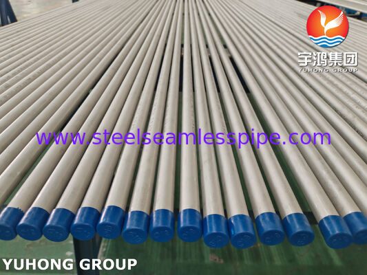 ASTM A213 TP316L 1.4404 জল শোধনের জন্য সিমলেস স্টেইনলেস স্টিল টিউব, ET / HT