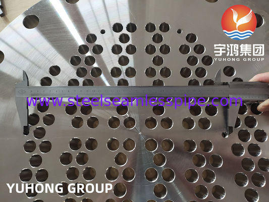 ASTM A182/ ASME SA182 F51, F53, F60, F55 ডুপ্লেক্স বা সুপার ডুপ্লেক্স টিউব শীট